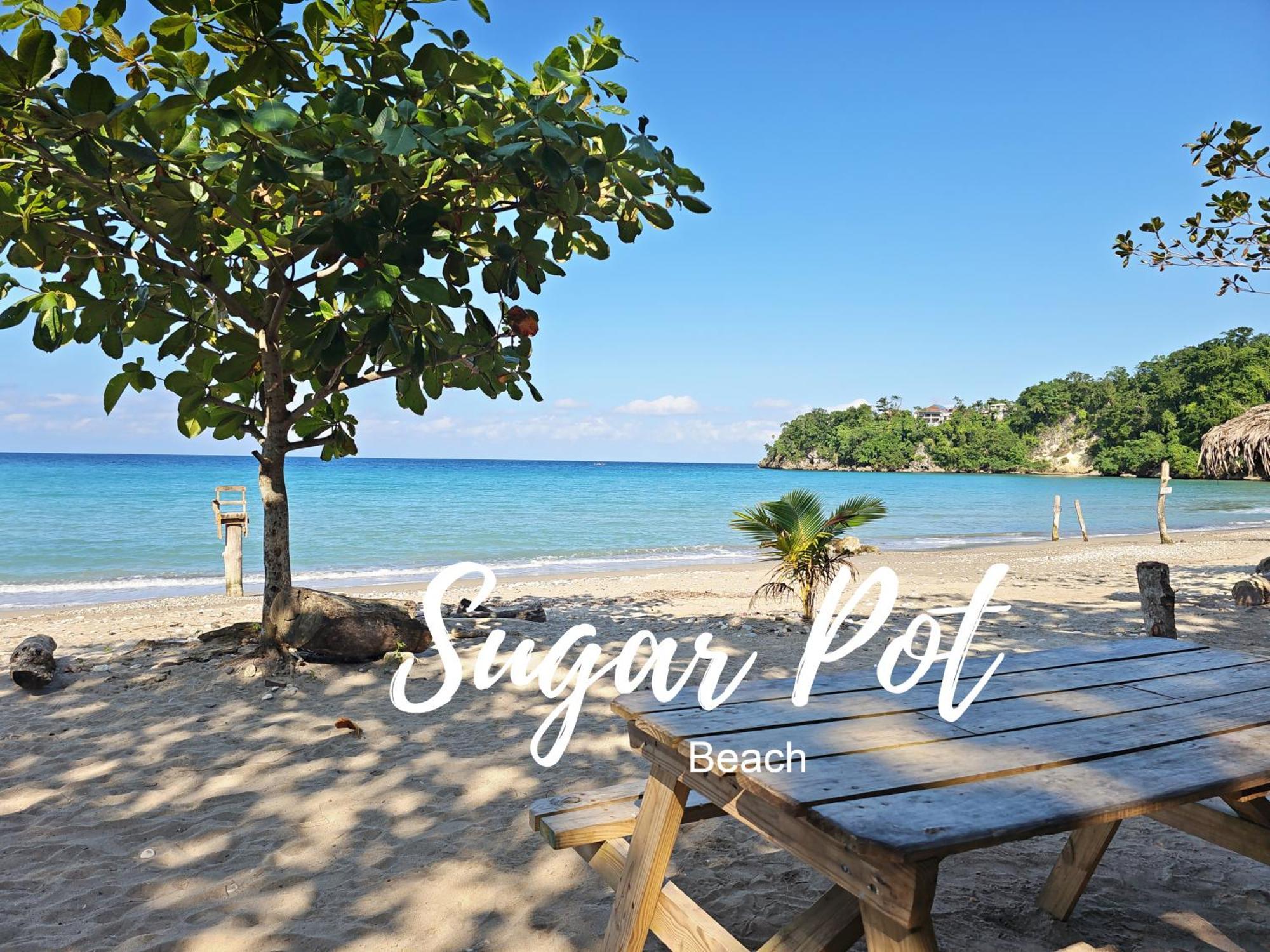 Chrisanns Paradise Suite By The Ocean - Apt#9 Ocho Rios Exterior photo