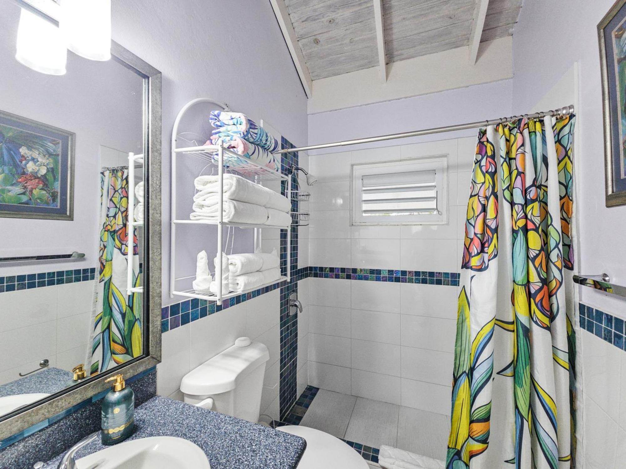 Chrisanns Paradise Suite By The Ocean - Apt#9 Ocho Rios Exterior photo
